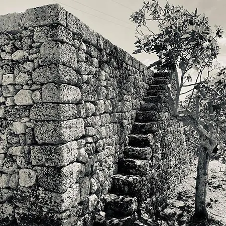Messapia - Santa Maria Di Leuca Villa *