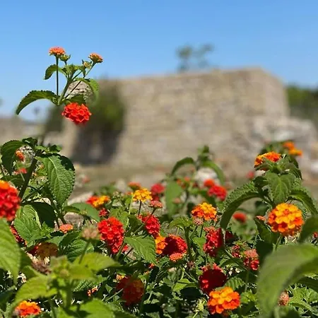 Messapia - Santa Maria Di Leuca * Castrignano del Capo