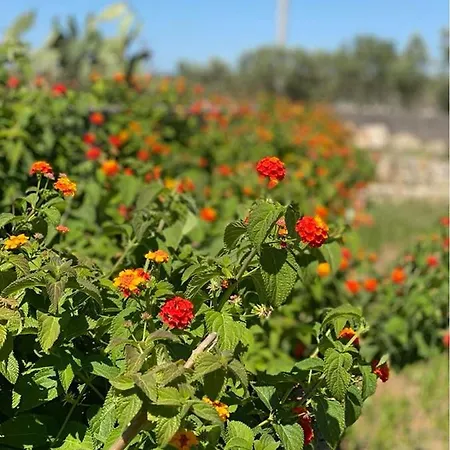 Messapia - Santa Maria Di Leuca * Castrignano del Capo