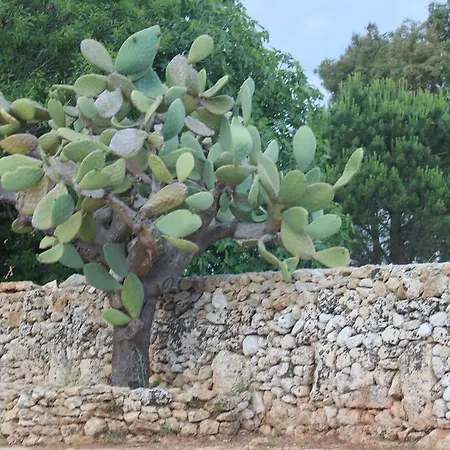 Messapia - Santa Maria Di Leuca